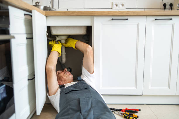 Best Toilet Repair Services  in Ethete, WY
